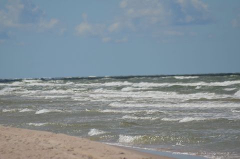 42F045B0-0DCD-47E5-AD9E-61E5C72E4799