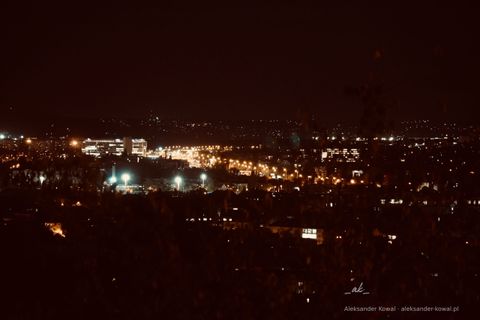 DSC00306