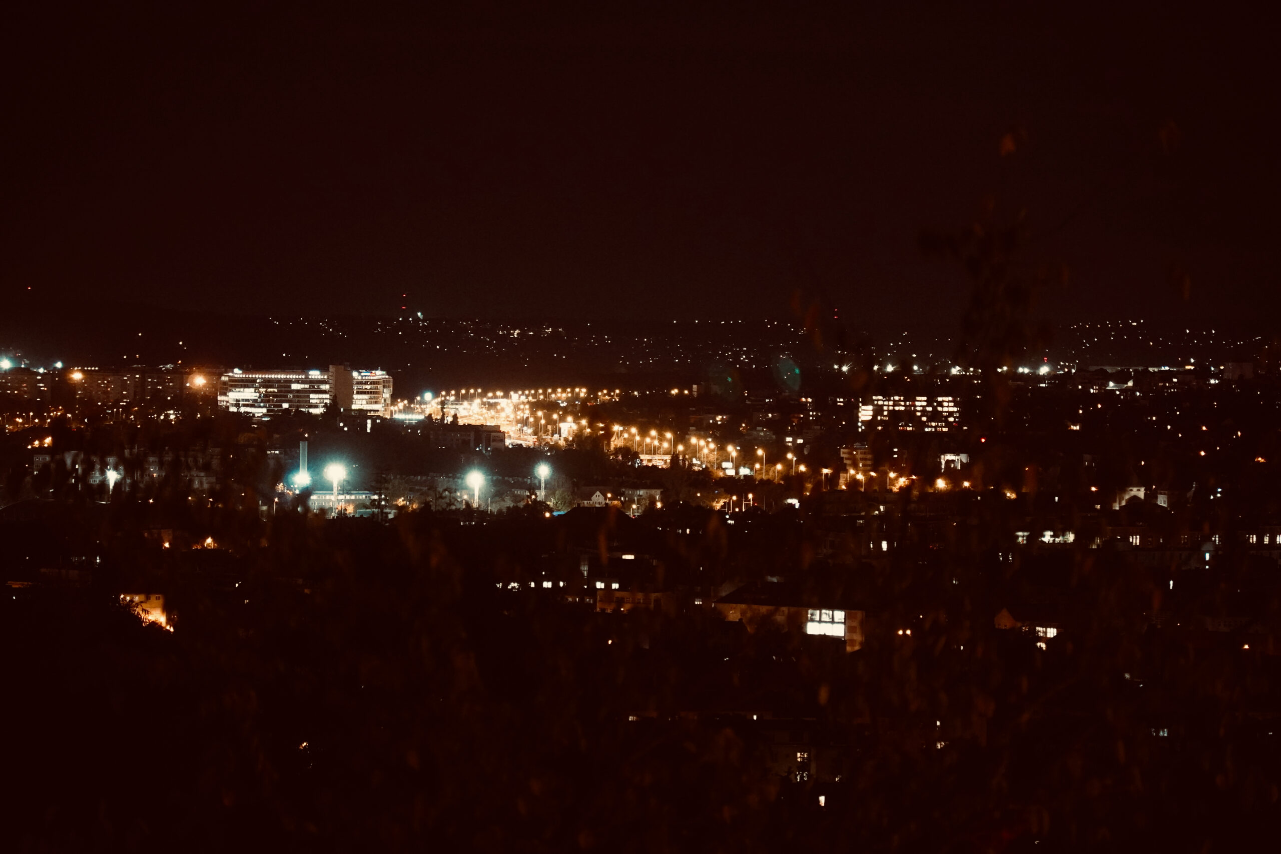 DSC00306