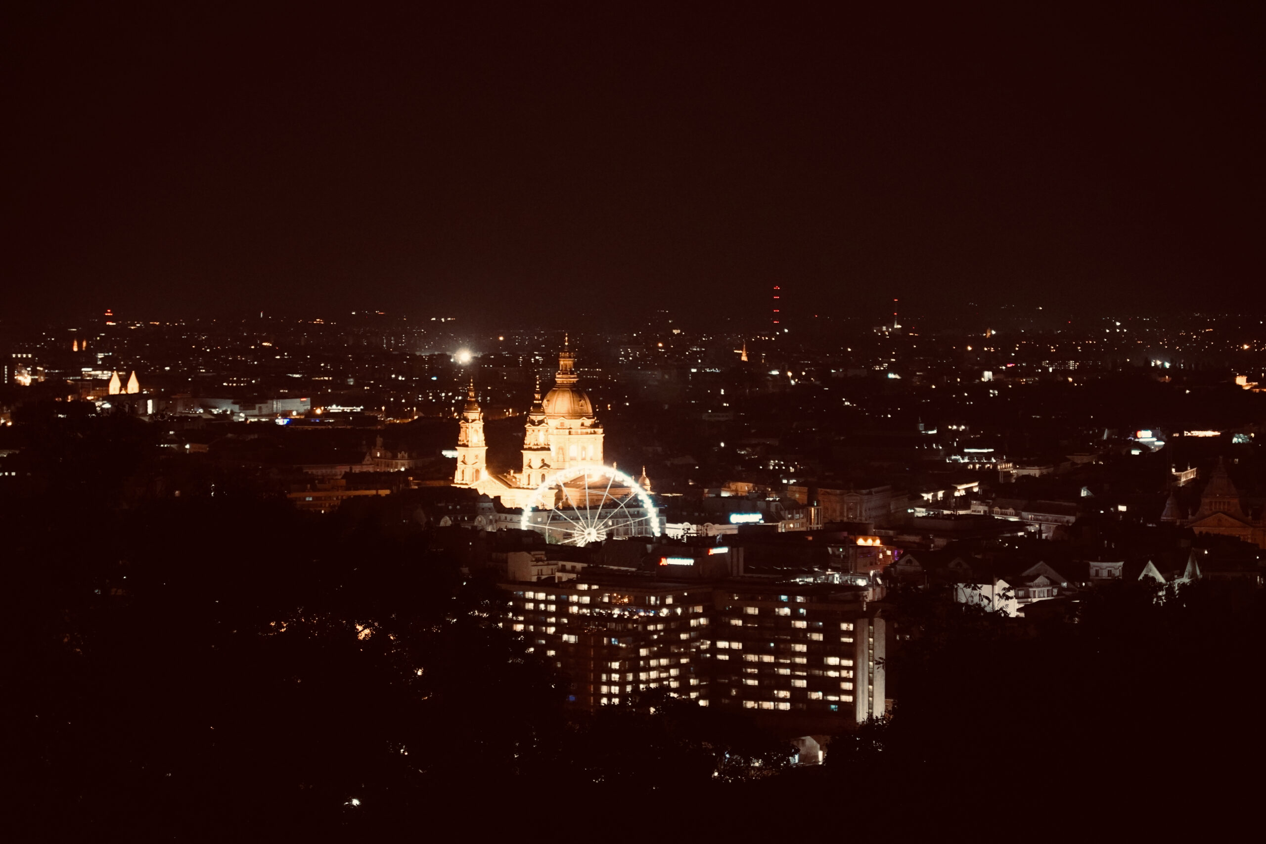 DSC00312