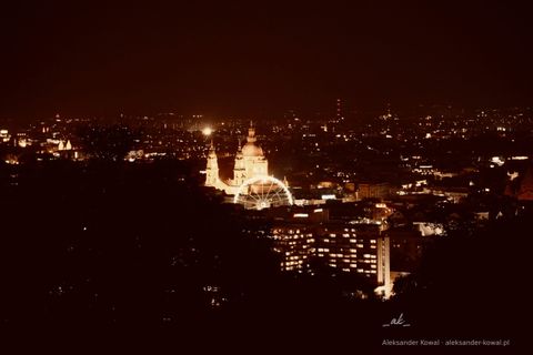 DSC00319