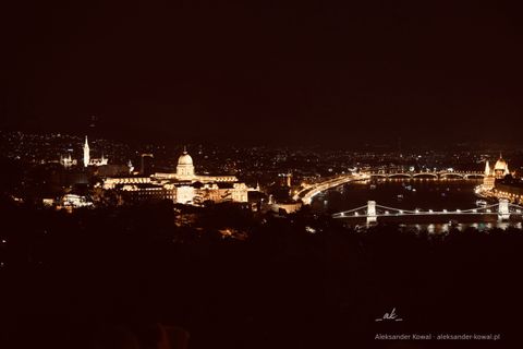 DSC00323