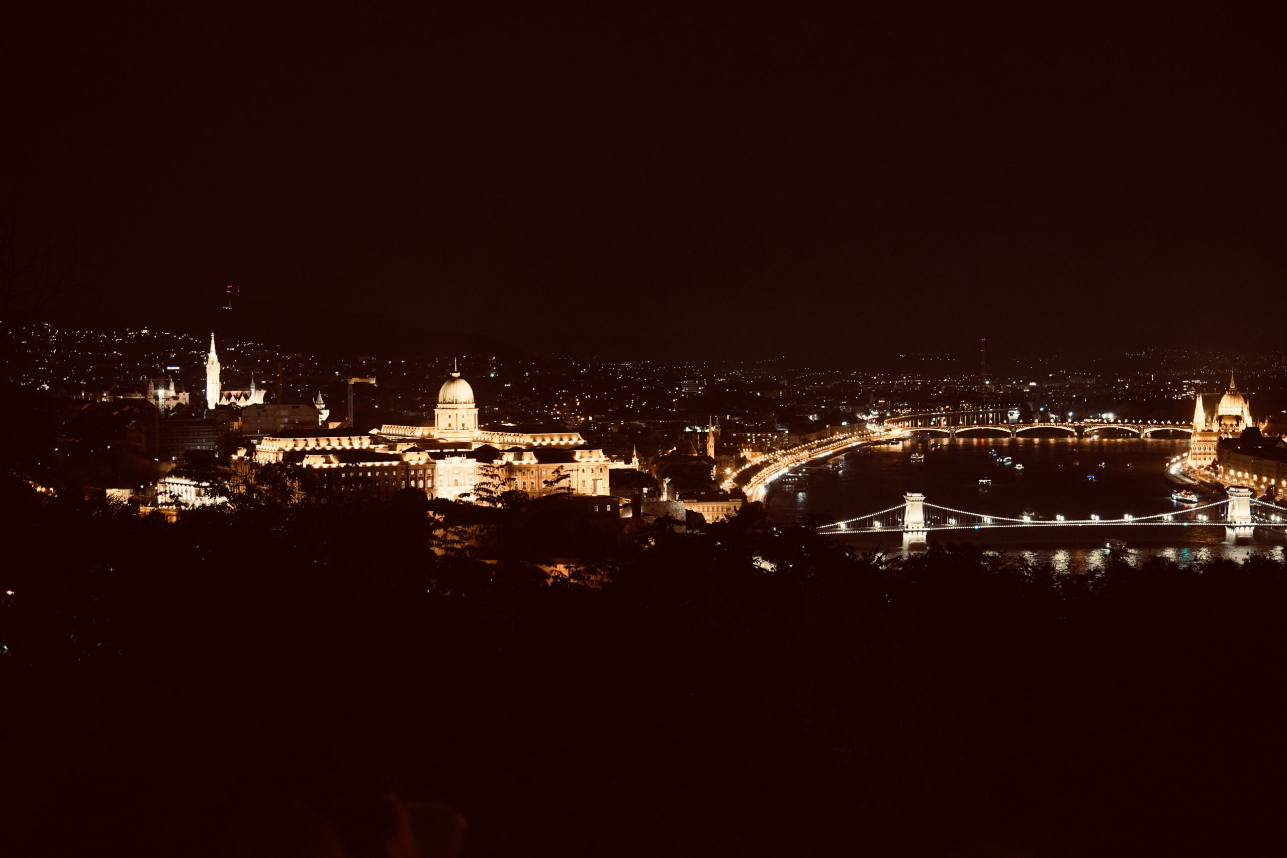 DSC00323