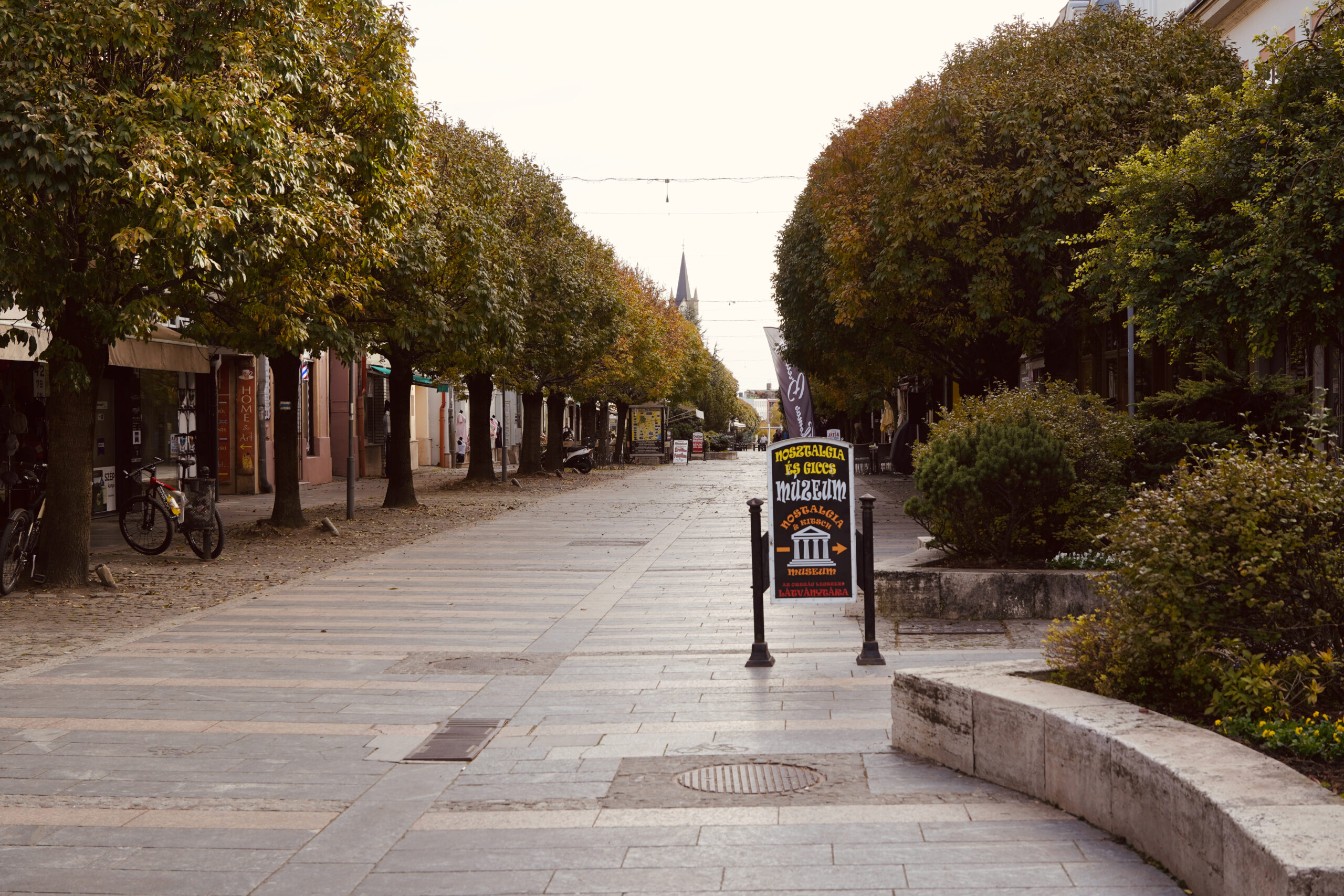 DSC00778
