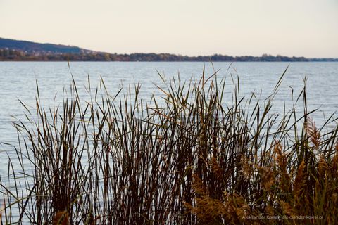 DSC00885