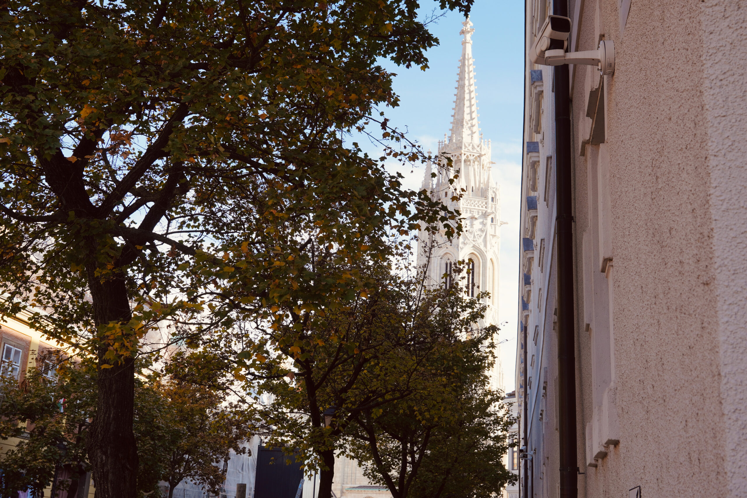 DSC00900