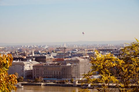 DSC00942