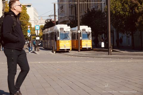 DSC00981