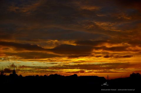 DSC_0106