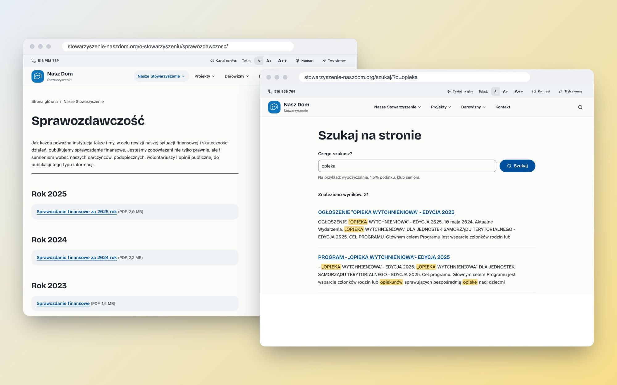 Financial reports with file format and size next to each link alongside search results, highlighting the word care